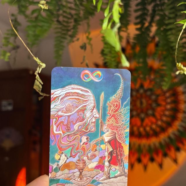 O Mago como conselho é pra manifestar a ideia, iniciar o experimento de criar algo - que primeiro só existe no invisível, num plano mental e individual. 

Pra organizar os elementos da sua vida, e seus recursos criativos pra criar algo, você primeiramente se imagina como quem manifesta isso. 

Como diria Blavatsky, “a vontade é o primeiro dos poderes ocultos”.
Assuma o papel. A magia responde.